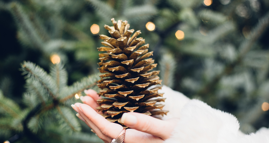 Photo of a woman holding a pine cone with both hands with twinkling white lights in the background.