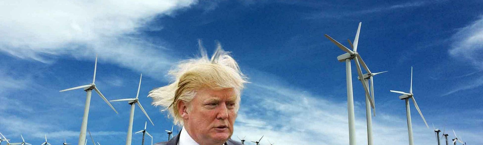 Donald Trump, hair askew amid wind turbines