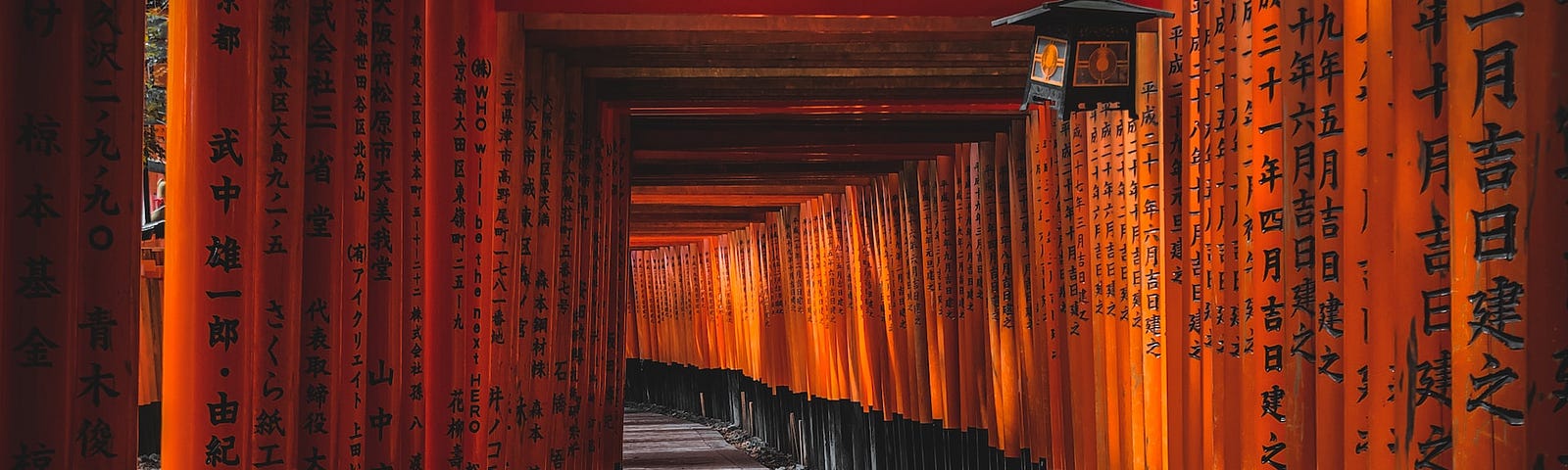 A tunnel of red poles, enscribed with Japanese phrases. The tunnel turns left at the end.