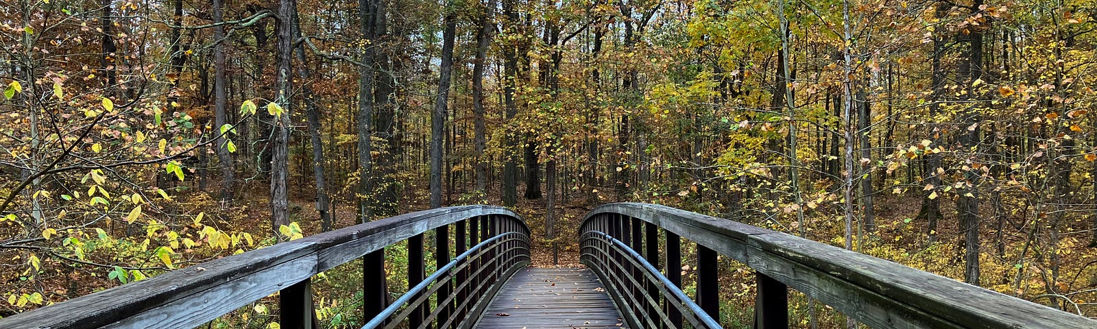 A wooden footbridge with rails on both sides and some leaves on the path crosses over a ravine through autumn forest.