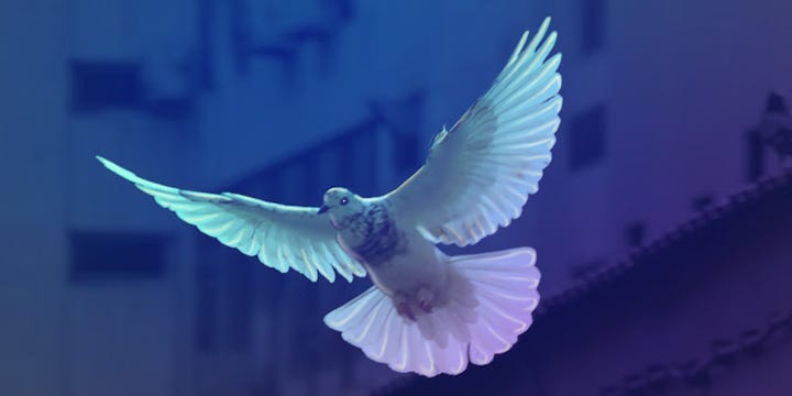 A blue and purple colorful dove flying in the air.