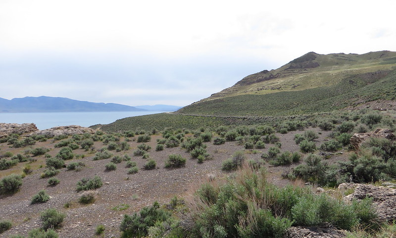 Pyramid Lake Nevada showing behind a sagebrush covered hill