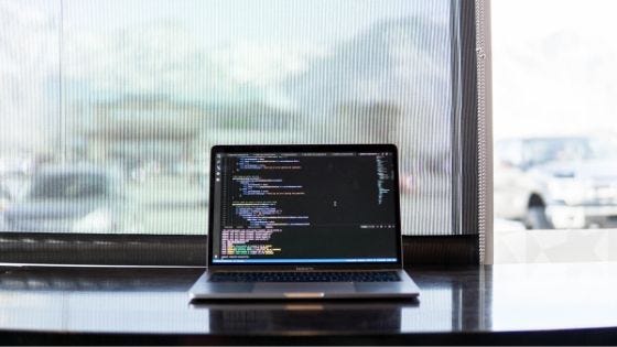 Qu’est-ce que Python et pourquoi est-il notre premier choix pour le développement web ?