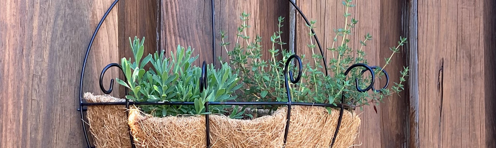 Planter filled with herbs on fence.