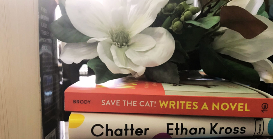 Save the Cat! Writes a Novel; Chatter; Big Magic; On Writing; Story Genius