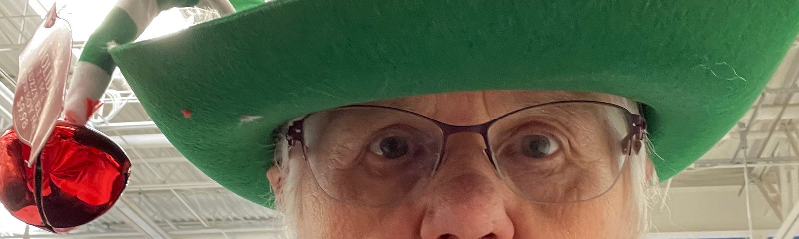 photo of author with elf hat on