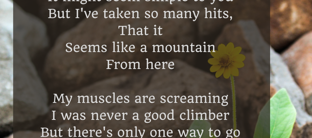 Poetry graphic (poem in main body of text) with flower growing amongst rocks