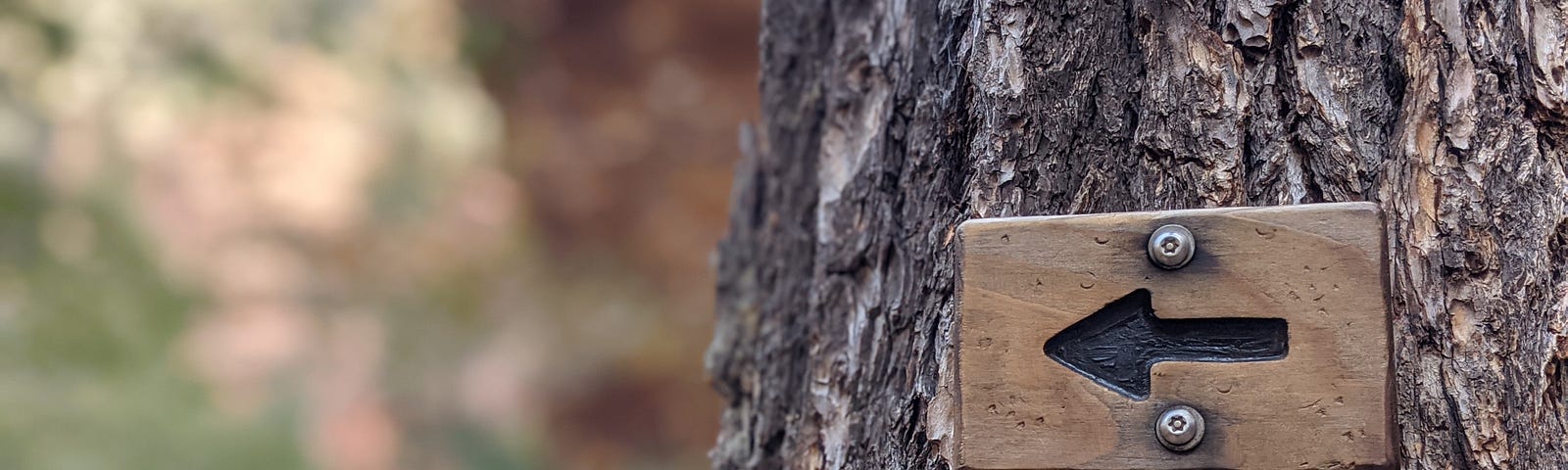 Trail marker with a left pointing arrow screwed into a tree