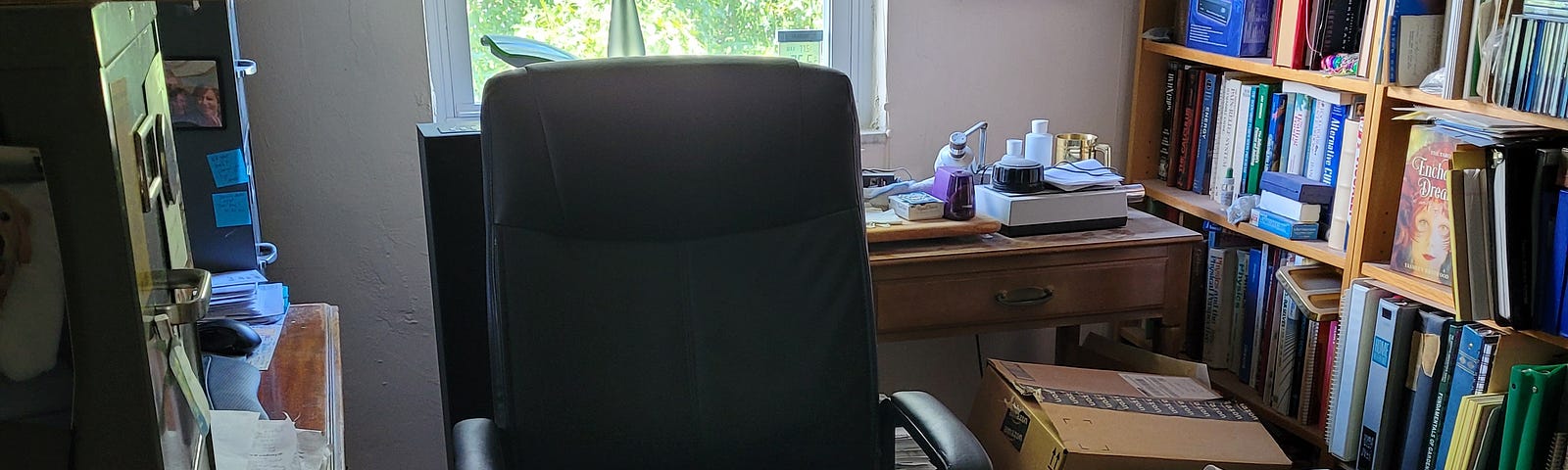 A very cluttered space featuring an oversized office chair, shelves of books, and a window view of an oak tree