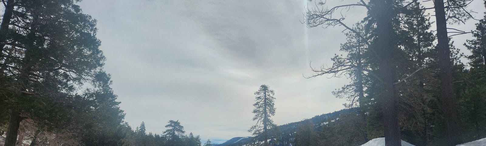 Road with snow on sides