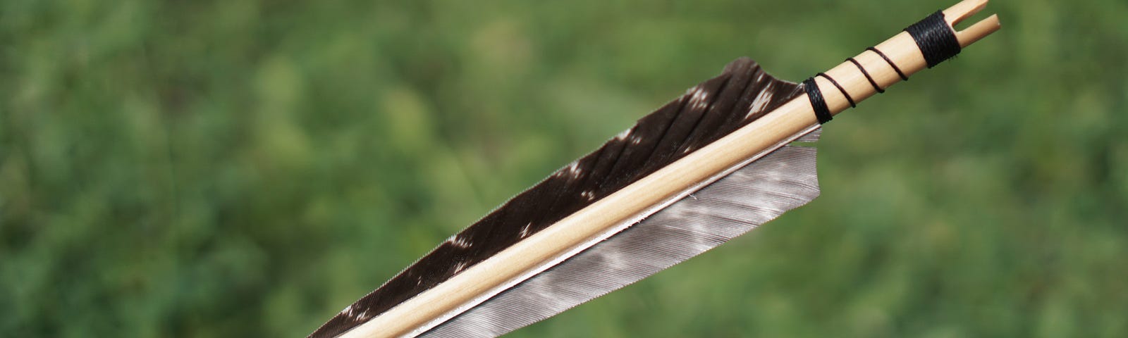 Photograph of an arrow as used in archery