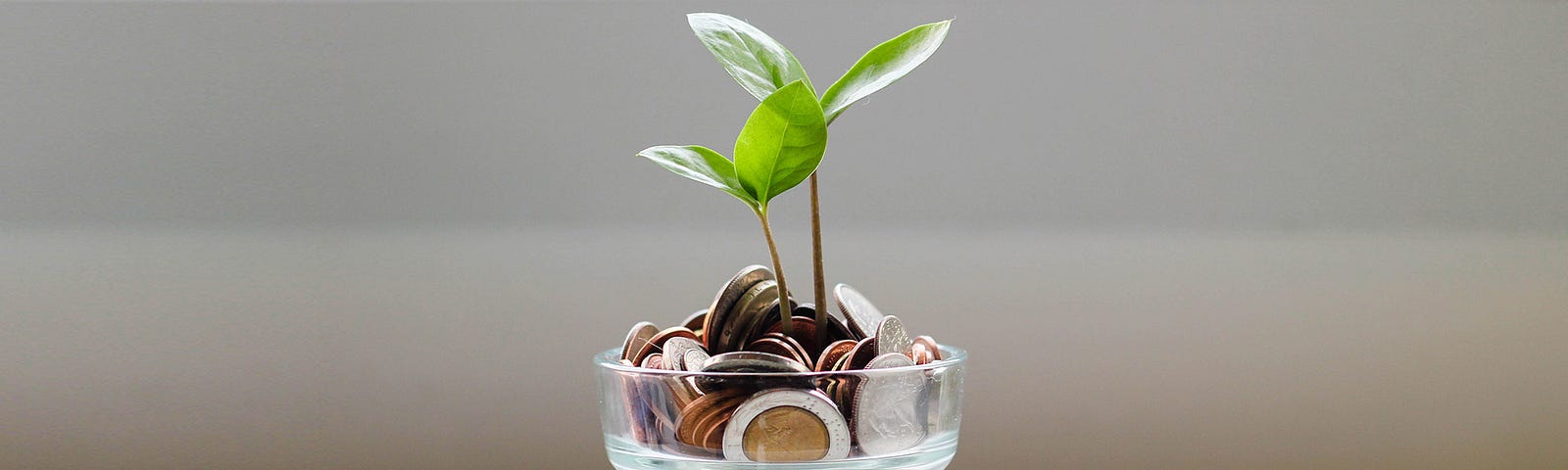 Cup of coins with green plant growing out of it