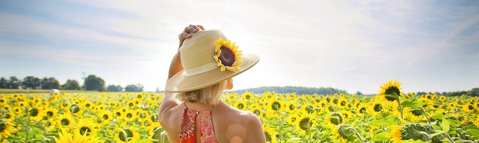 A girl standing in a sunflower field.