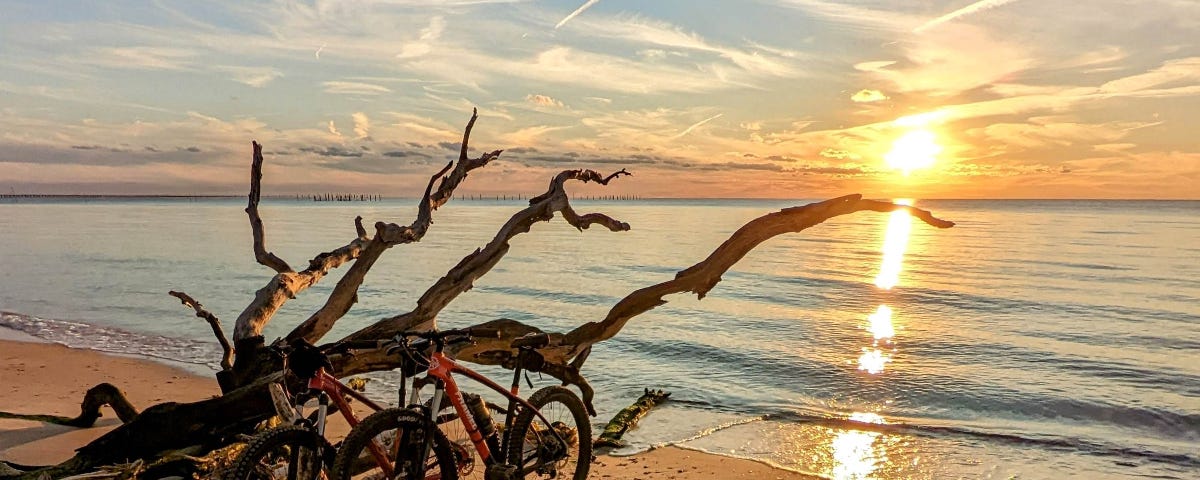 Two bikes lean against a large piece of driftwood on a beach at sunset.