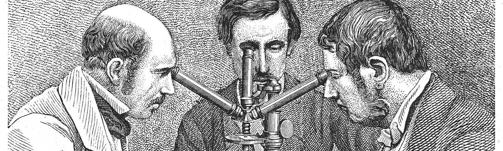 A black and white etching of of three men wearing Victorian era clothing looking into a microscope with three tubes.