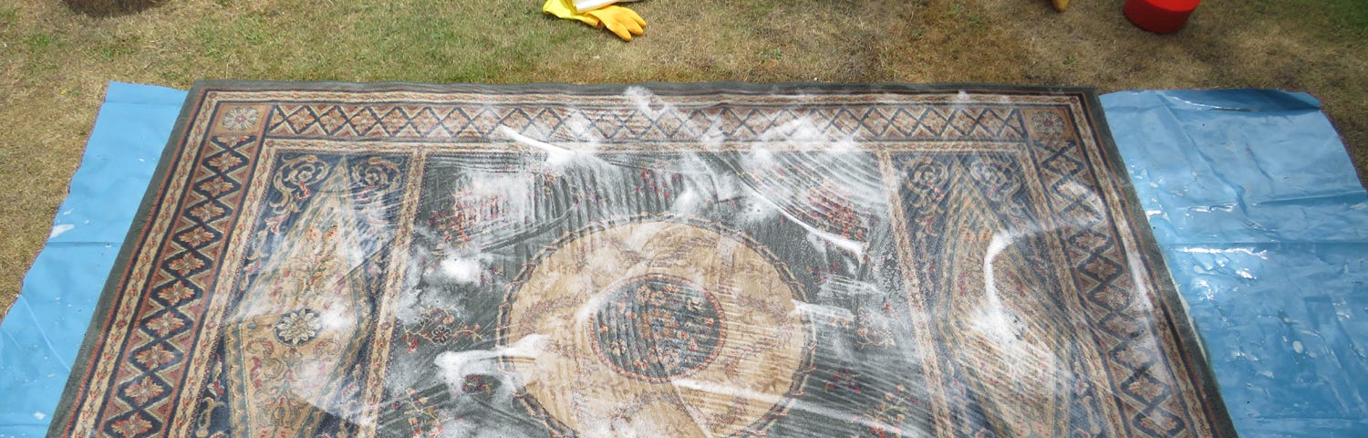 A soapy rug on a blue tarpaulin laid on grass.