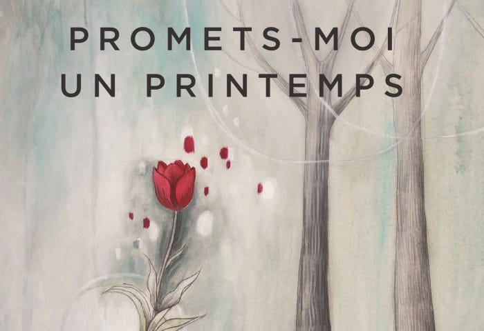 Promets-moi un printemps / Mélissa Perron