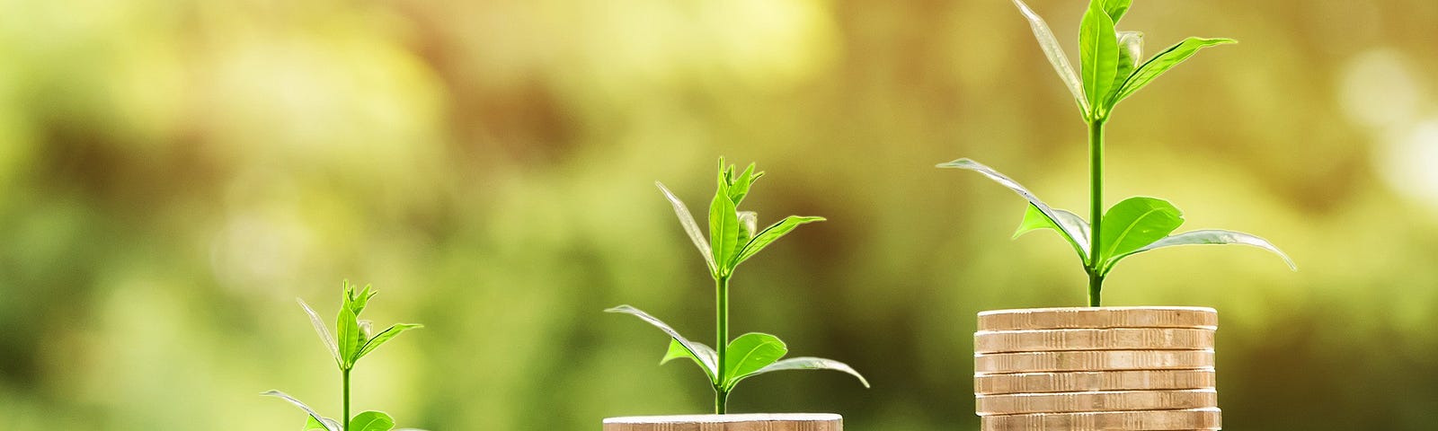 An imagery of growing wealth juxtaposed with a growing plant: symbolic of an increasing need for nationwide access to financial services.