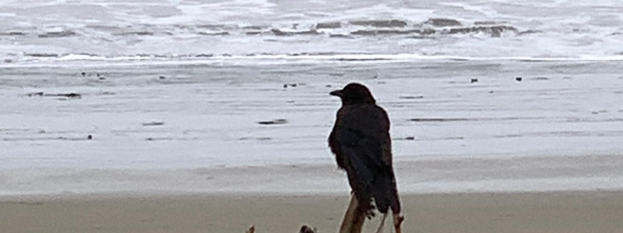 Crow on Stilts by Mark Tulin