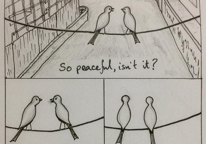 Two birds enjoy the peace of lockdown