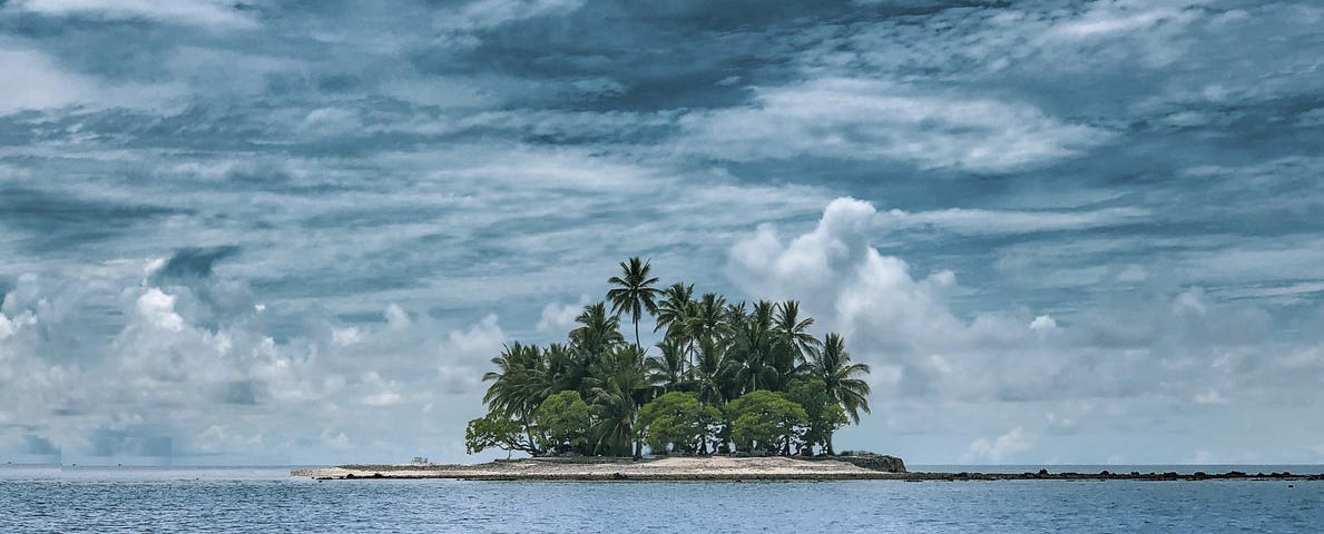 An image of a desert island with palm trees.