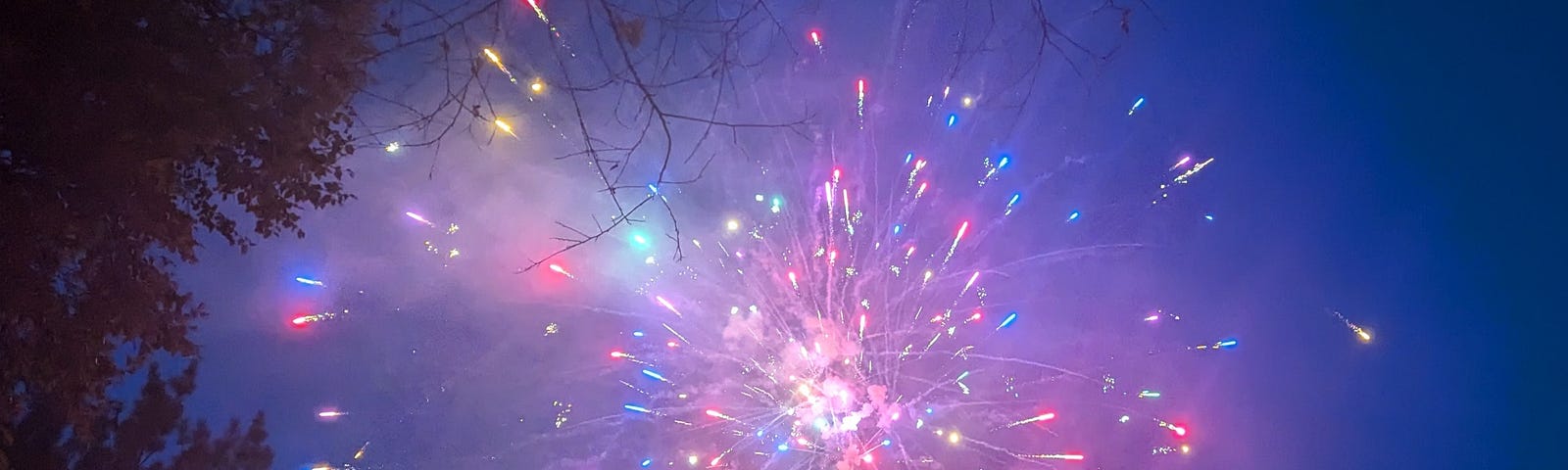 A fireworks display in the sky.