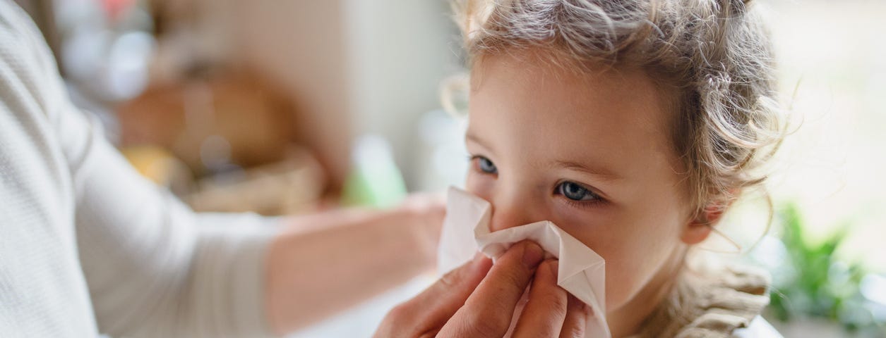 Parent with small sick toddler daughter indoors at home, blowing her nos