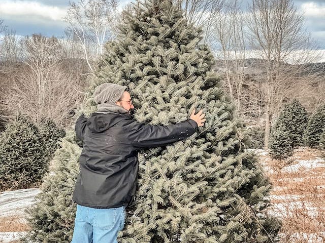 A man literally hugging a large tree.