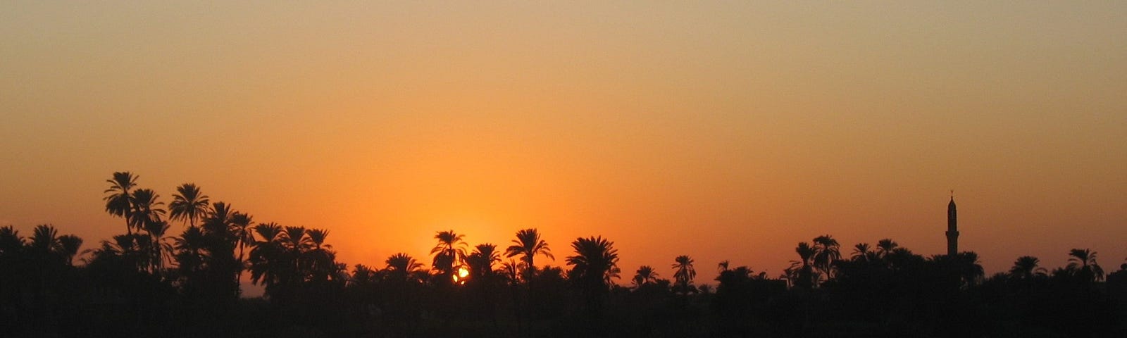 Setting sun behind silhouetted date palms, other trees and a mosque minaret, with the Nile river in the foreground