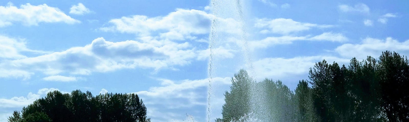 A fountain in the middle of a lake against a backdrop of trees and blue sky.