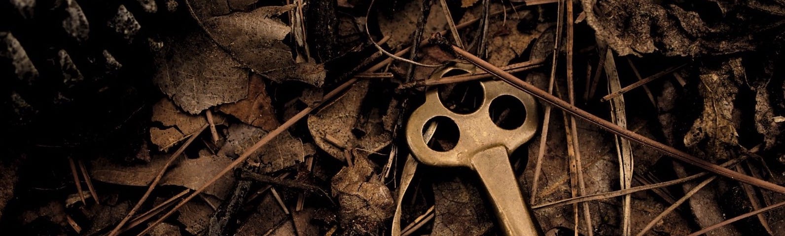 Old key on dead leaves