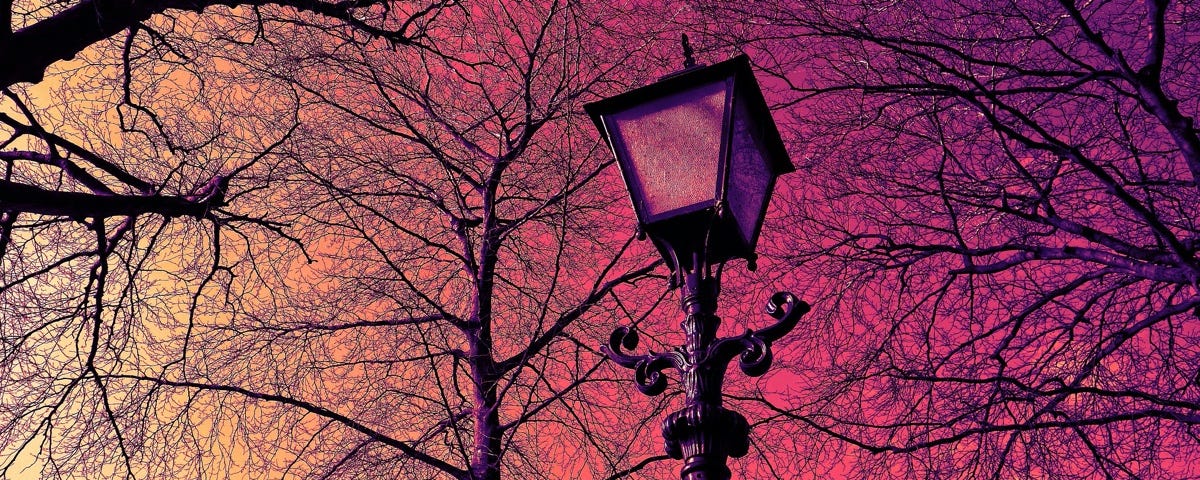 Image: A lamppost against a pink and yellow sky with leafless trees in the background.