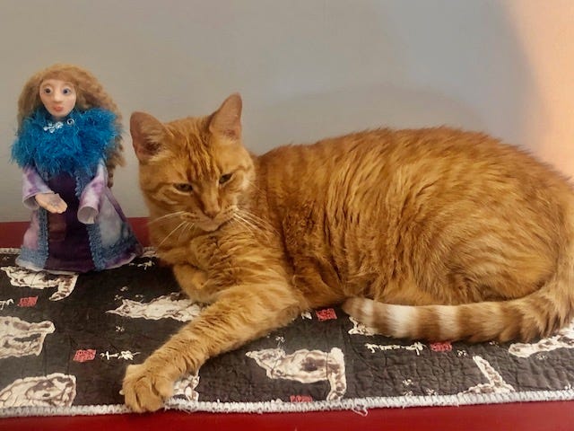 Orange cat named Buddy sitting on a quilt