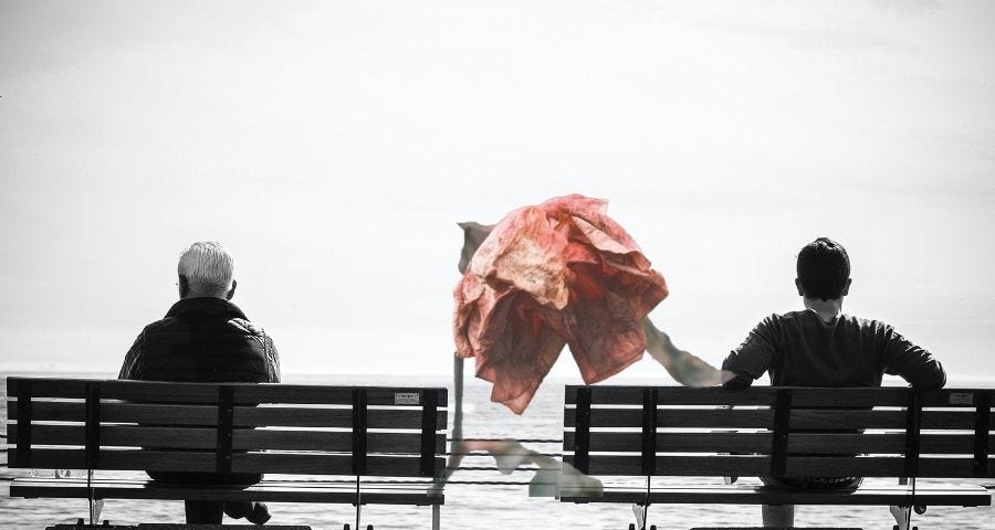 An old man and a young man sitting on benches overlooking the ocean. Rose in between