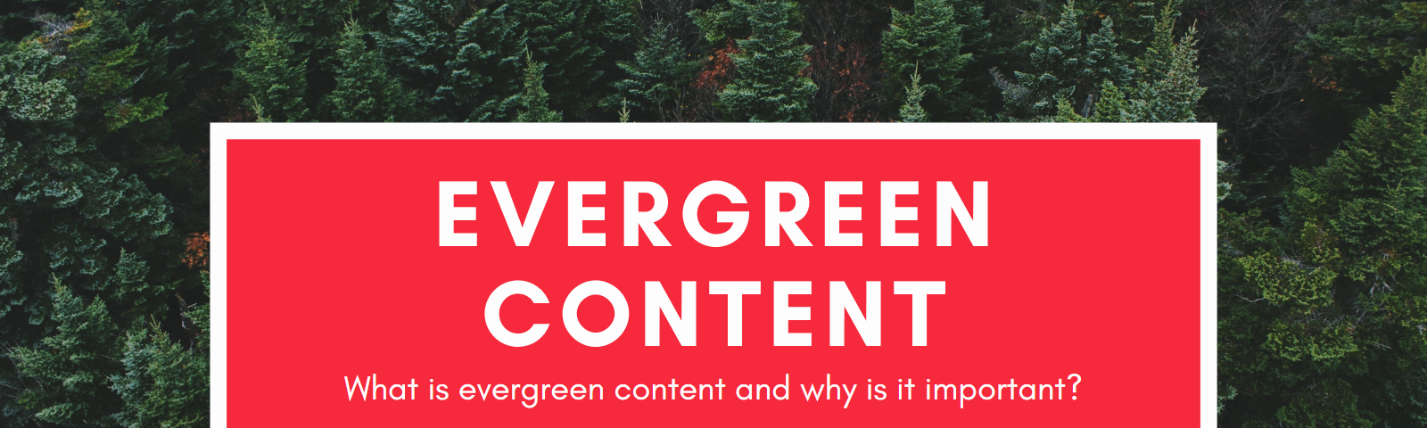 evergreen content, how to find evergreen content, importance of evergreen content, how to create evergreen content, evergreen