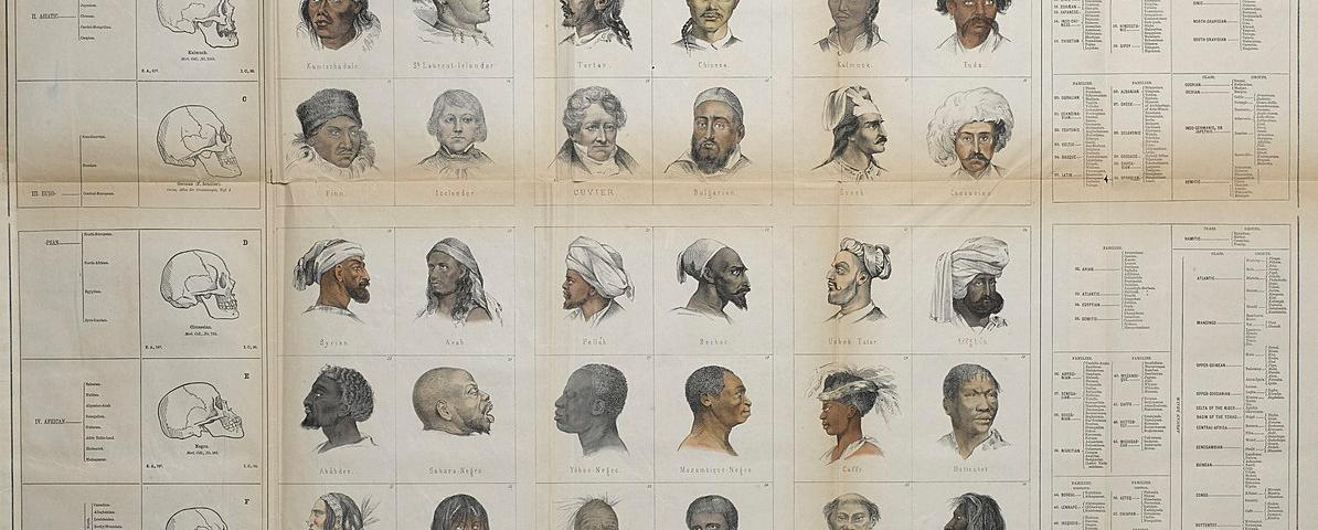 “Ethnographic Tableau. Specimens of Various Races of Mankind” created by Josiah Clark Nott, an influential early 19th-century race theorist who promoted polygenism (the false belief that human races are of different origins) and racial supremacy.
