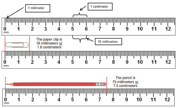 A picture of several metric rulers indicating centimeters and millimeters