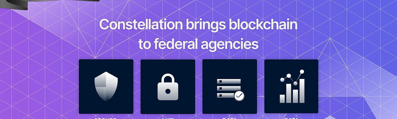 Constellation brings blockchain to federal agencies