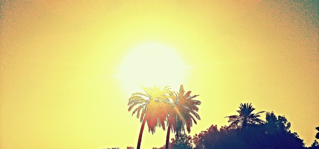 The sun glowing brightly as it is coming down during the early evening. There are two palm trees in the front and a house in the background.