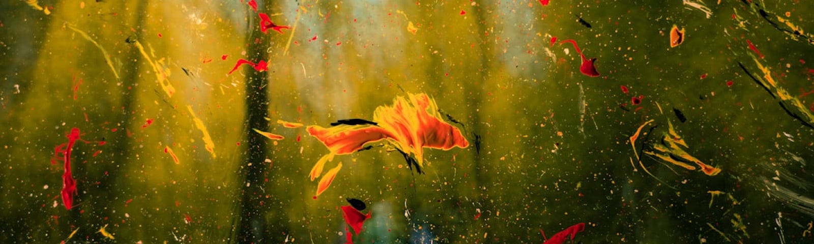 An abstract image. Mostly dark brown, perhaps shadows of trees rising in the background, on the forefront of image, like a painting, are intense yellow, red, orange splashes or brush strokes. The bright colors capture the intensity on a dull landscape.