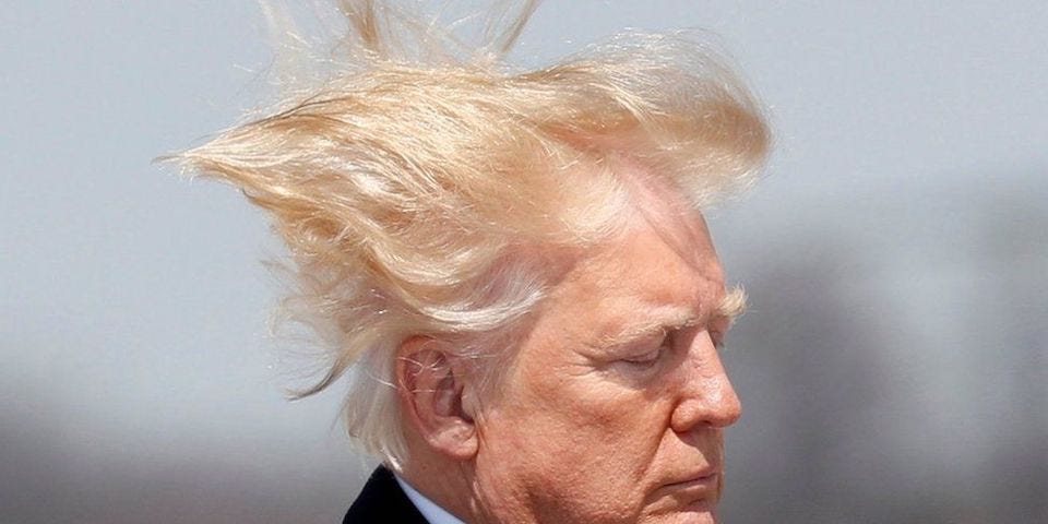Politician Donald Trump will need better hair control than this if he expects to handle the pressures of the 2024 presidential campaign