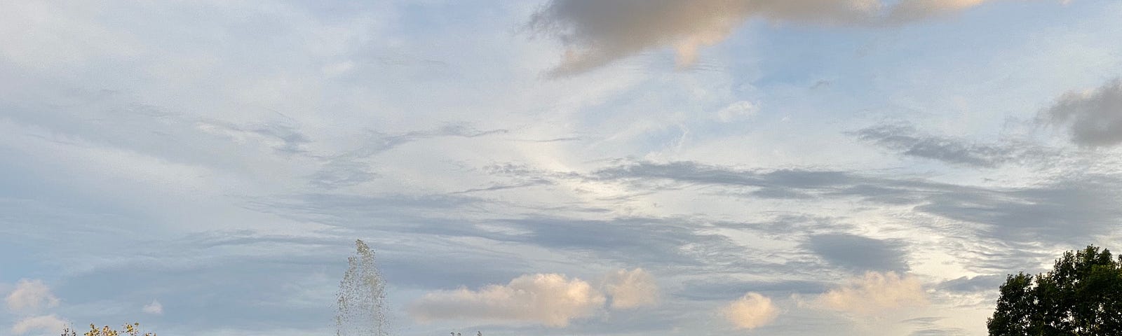 Image of goose-shaped cloud.