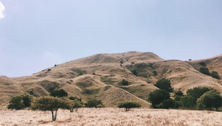 View of an open African savanna.