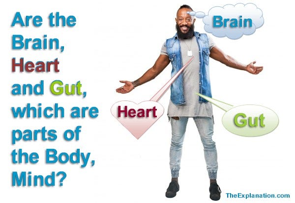 Great controversy: Are the brain, heart, and gut, which are physical parts of the body, mind?