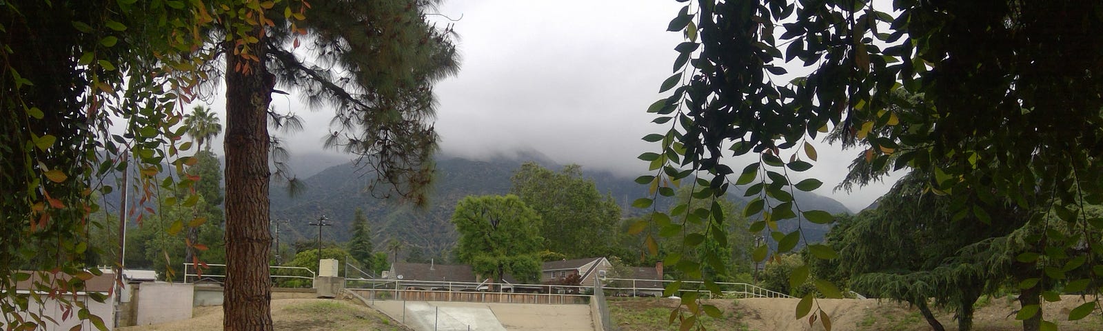 View of mountains with low clouds and coyote