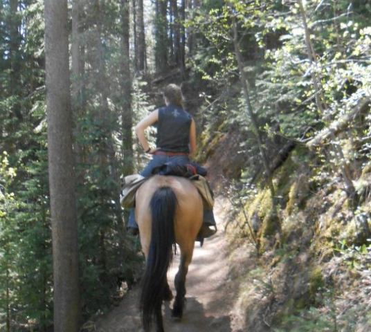 A buckskin horse and blonde rider travel a forested trail in the Rocky mountains