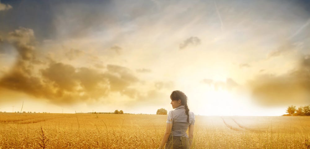 A woman with a pony tail stands in a golden field