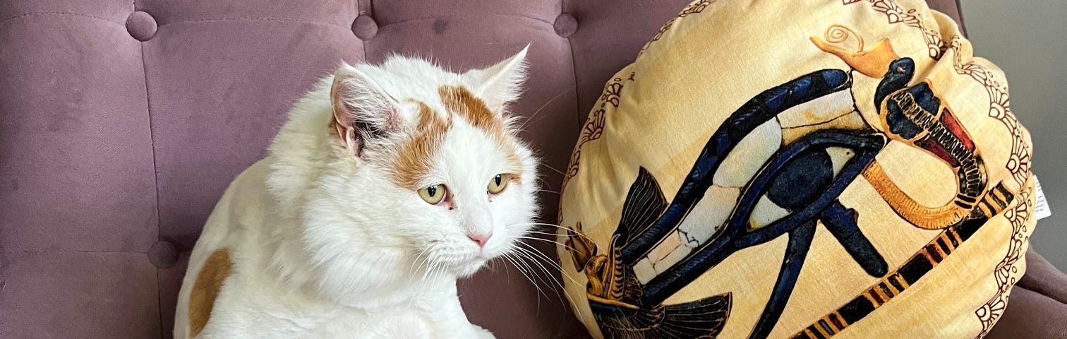 A white and ginger cat sitting awkwardly on a purple velvet seat next to a round cushion with a bold, abstract eye design.