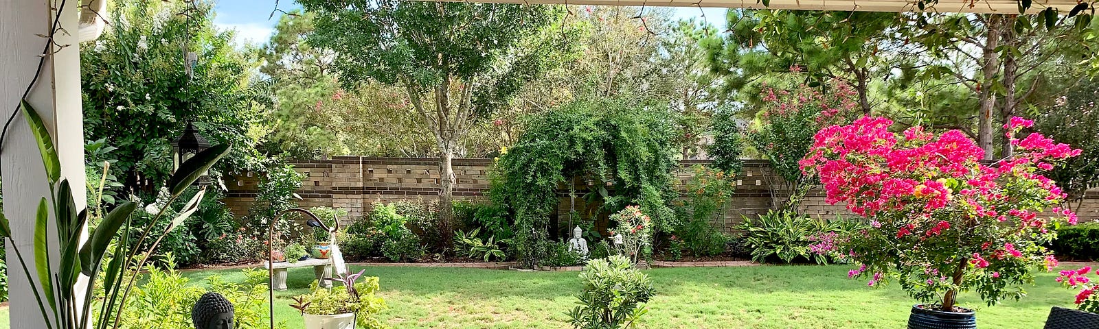 Patio Garden