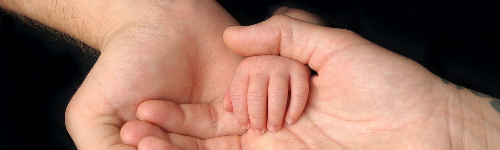 A baby’s hands in it’s parents’